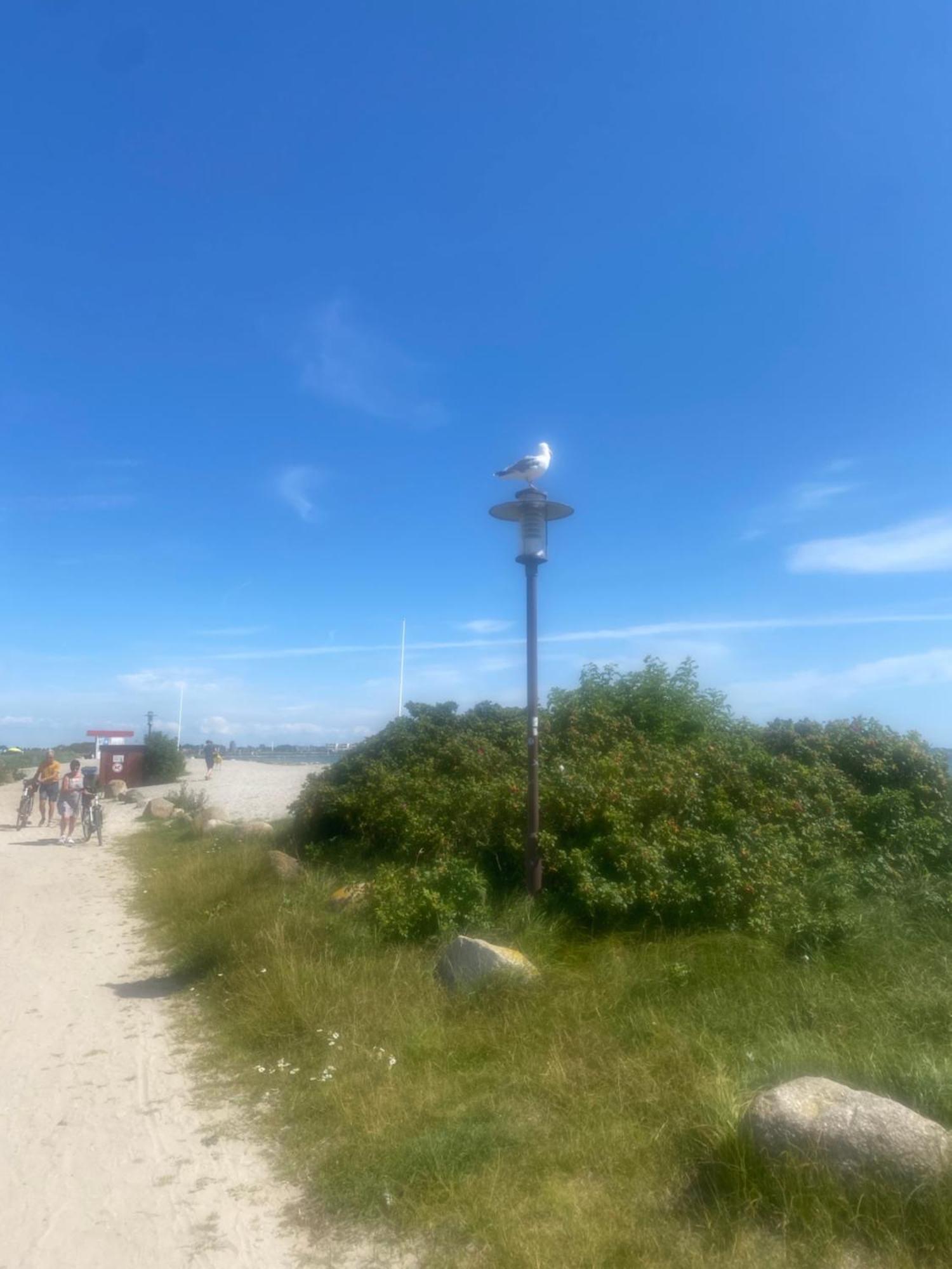 Wohnwagen Auf Dem Wulfenerhals Ca 150M Bis Zum Meer Fehmarn Exterior foto